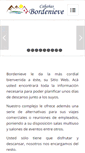 Mobile Screenshot of bordenieve.cl